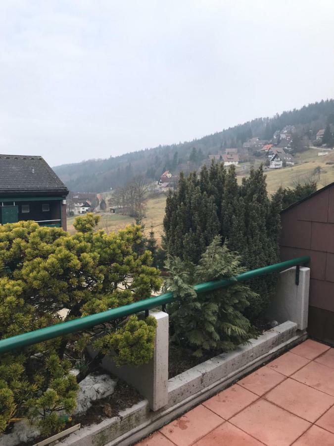 Ferienwohnung Im Terrassenpark Sasbachwalden Brandmatt Dış mekan fotoğraf